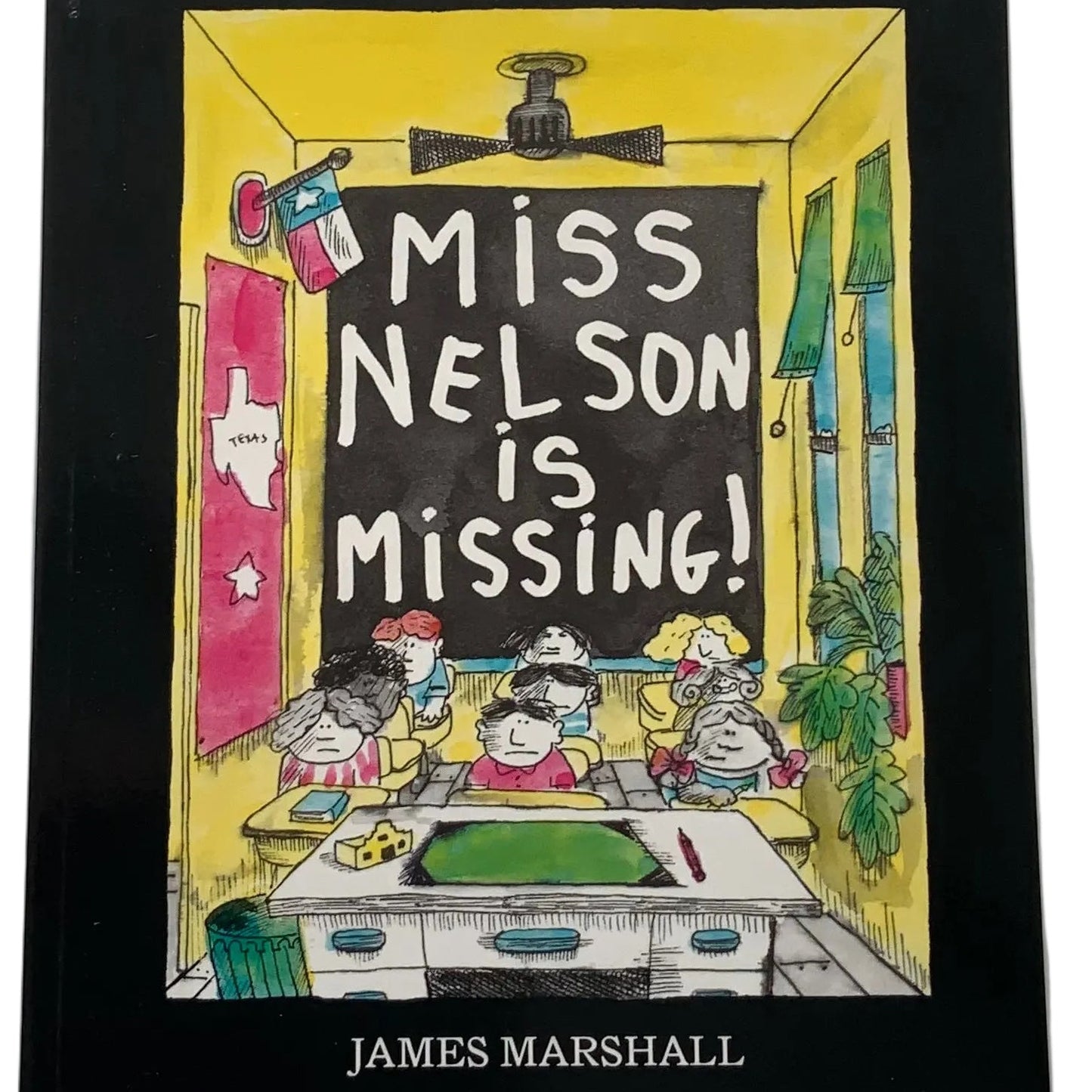 Miss Nelson is Missing Book